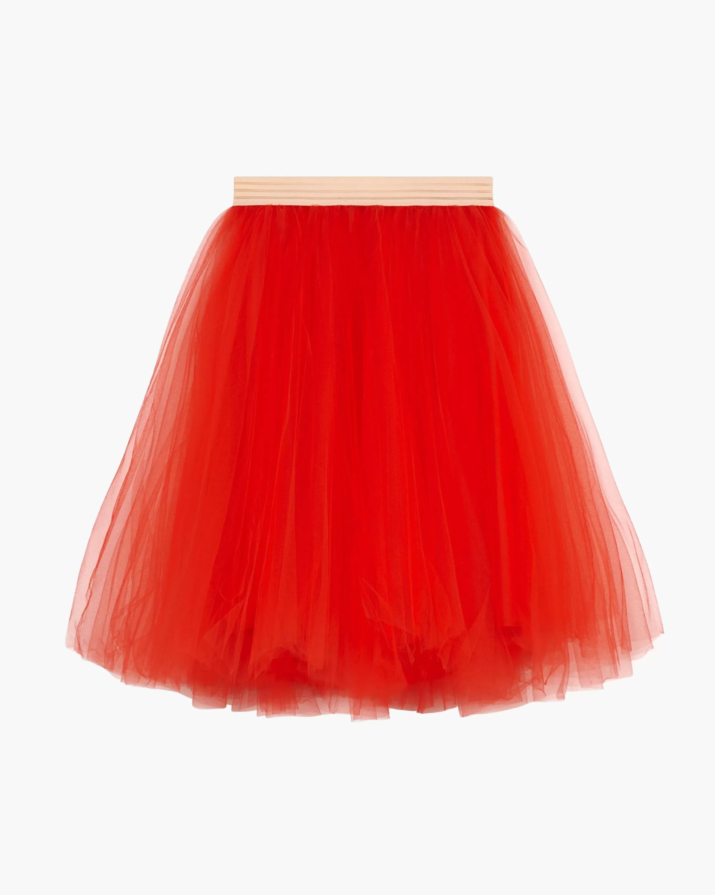 Flash Sale TUTU SKIRT Dresses & Skirts